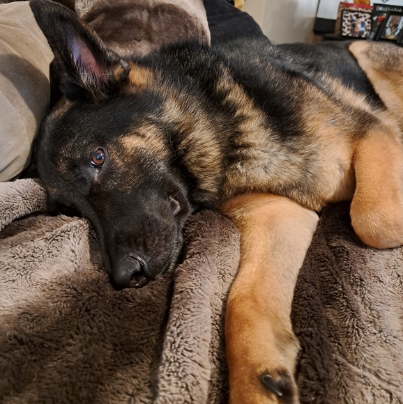 Meet your Posher, Lind - Picture 2 of 16